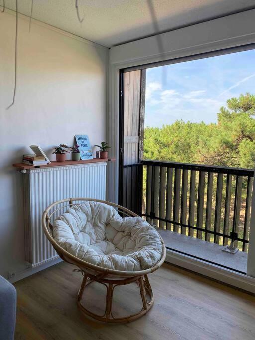 Apartament Grand T2 A 150M De La Plage Seignosse Zewnętrze zdjęcie